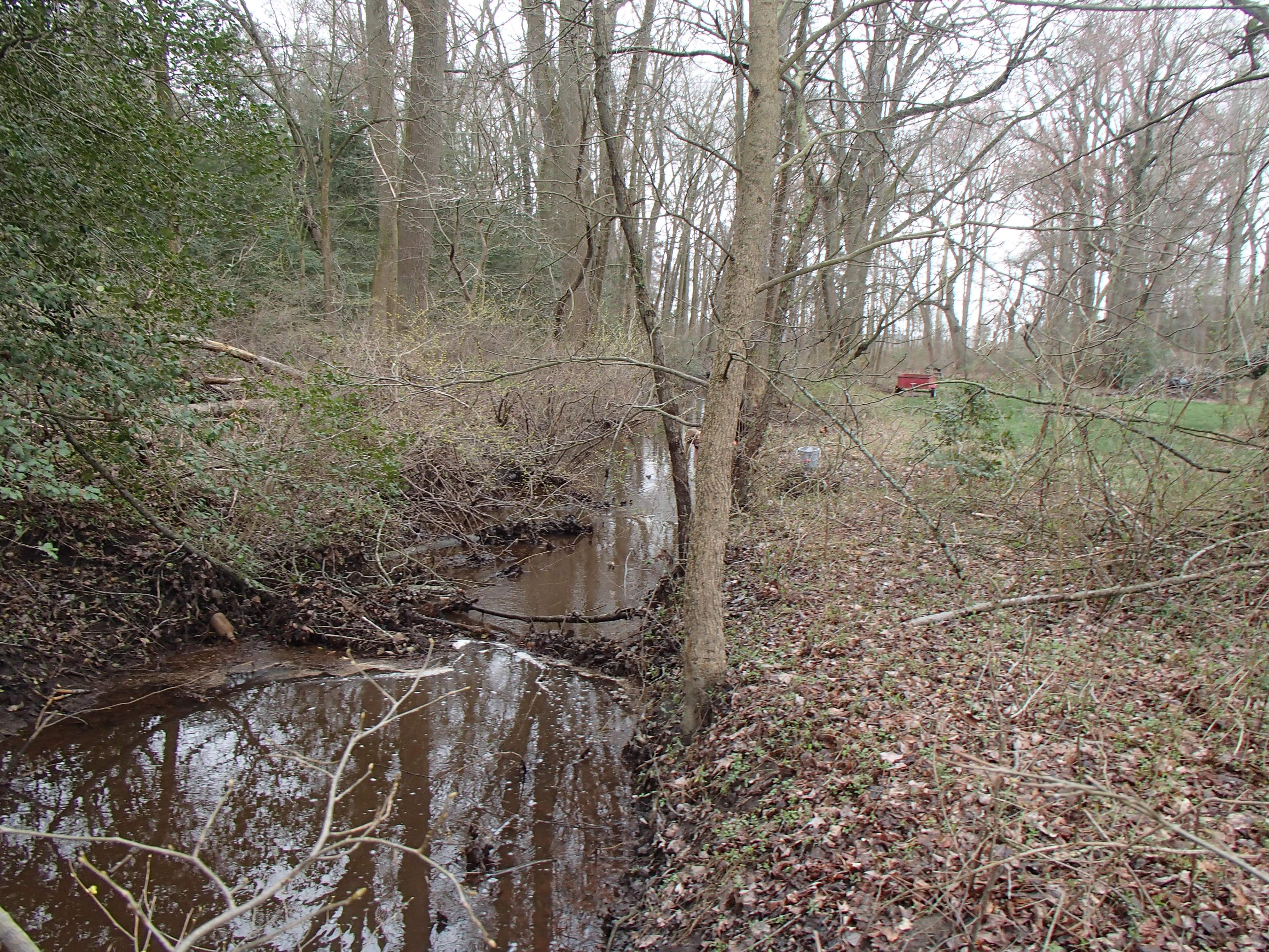 Field photo showing stream conditions at site NANT-109-R-2016_midpoint looking downstream